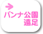 2008バンナ公園遠足